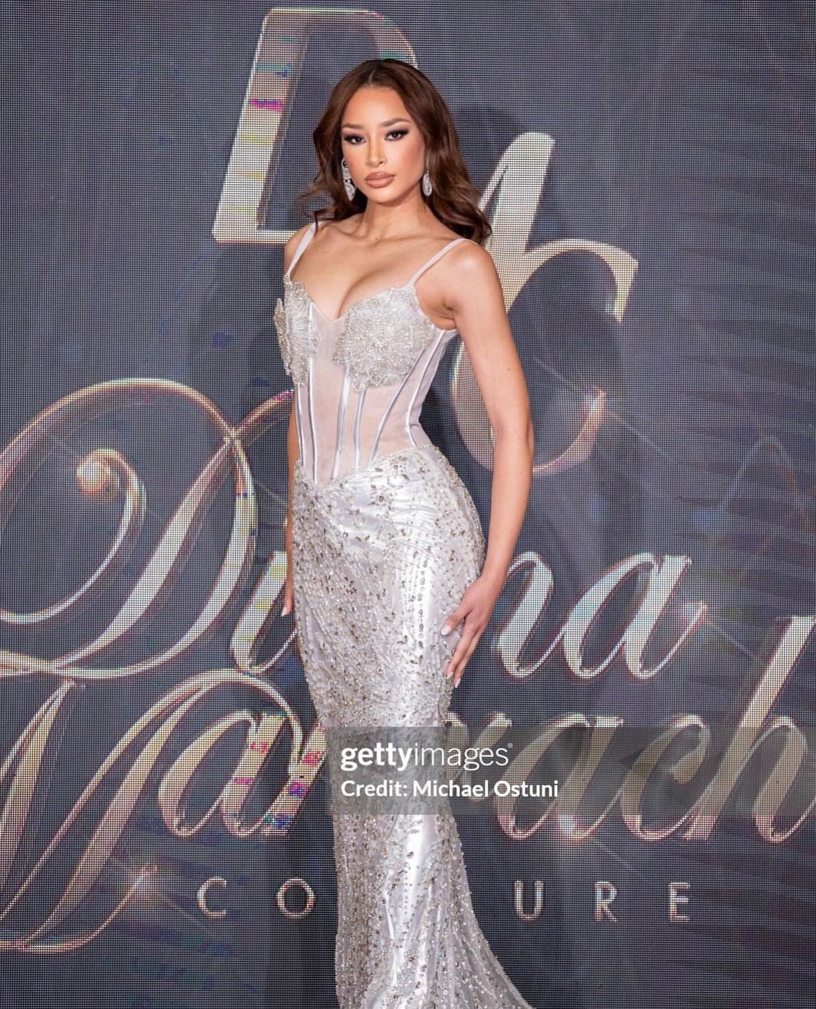 Chabeli  Dress