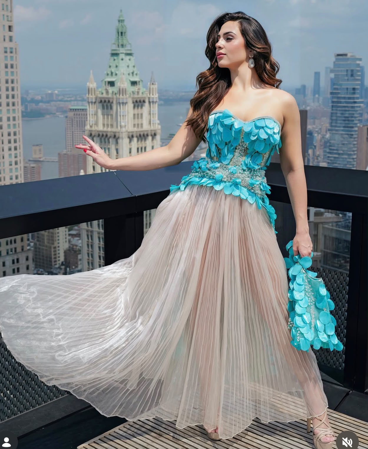 Liz Gown