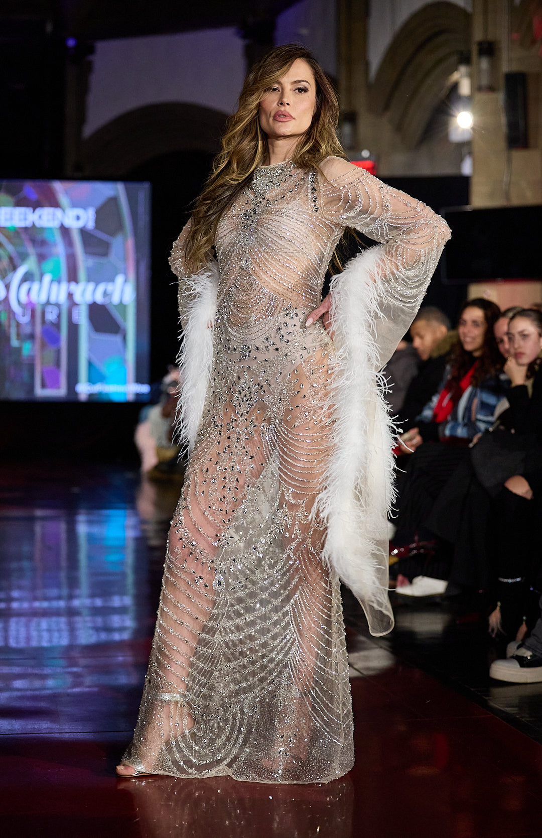 Gabriela Crystal Sheer Feather Gown